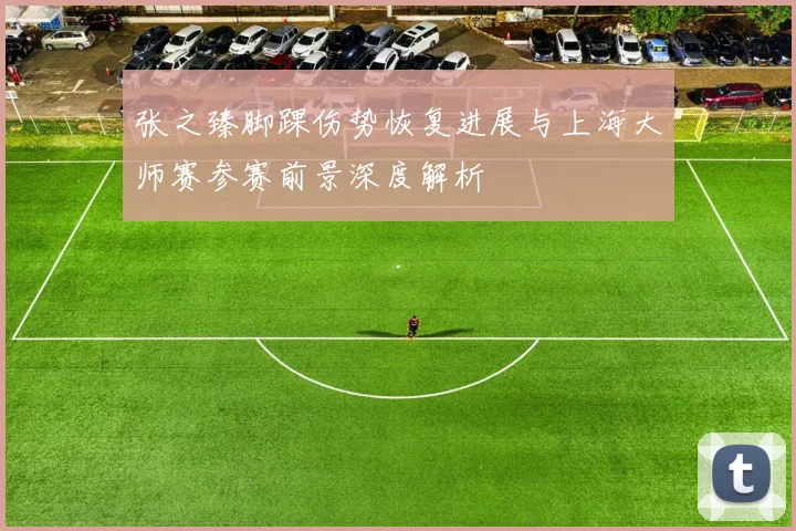 张之臻脚踝伤势恢复进展与上海大师赛参赛前景深度解析